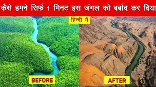 1 मिनट में बर्बाद हुआ सारा का सारा जंगल। How We Ruined the Rainforests in Just 1 Minute?