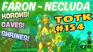 TotK154 Rain Forest Time, Caves, Koroks, Treasure - Faron, Floria, Necluda In Tears of the Kingdom