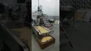 Pasta Macaroni Vermicelli Making machine S K INDUSTRIES (NOIDA) . Tahir Saifi +919350378368.
