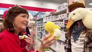 Wrinkle goes to Michaels (arts&crafts) 