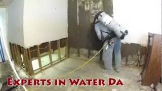 Clean Water Damage with Water Removal Equipment and the Expert in Mold for Sarasota, Florida