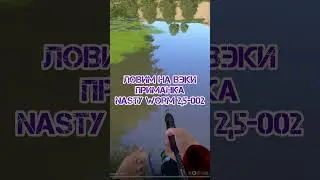 Трофей солнечный окунь на р.Северский Донец / Russian fishing 4 / #рр4