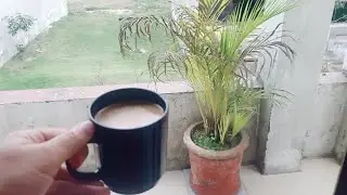 Pakistani Routine life Vlog|| Urban and Rural life Mix|| Shumail Baig VLOG ✨