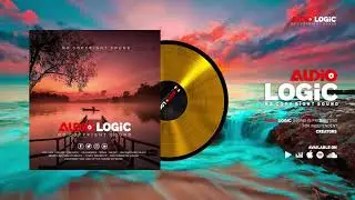 Audio Logic | Chill Guitar / Flamingo |  Lesion X |  Vlog No Copyright Music
