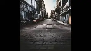 Trandafiri - May