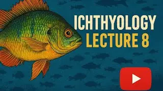 Ichthyology - Lecture 8 | Sensory Systems in Fish | Sight, Smell, Taste, Hearing & Lateral Line