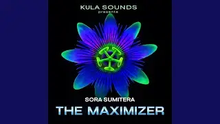 THE MAXIMIZER