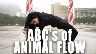ABC&rsquo;s of ANIMAL FLOW for beginners | FrancheskaFit