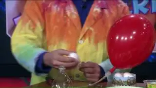 EGGSperiment