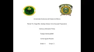 Trabajo Individual CyAF