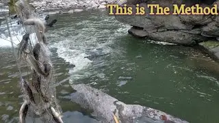 Asala machha marne sajilo tarika 😱 || Fishing method 😱
