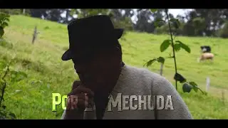 Por la mechuda - Alberto Alvarez (v&iacute;deo oficial)
