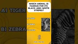 Amazing Animal Facts You Need to Know! | King of the Jungle, Highest-Flying Bird & More! #quiz