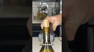 Removing Cork using Hair Straightener 🤯