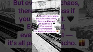 The city never stops