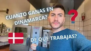 CUANTO TE PAGAN EN DINAMARCA? | RESPONDIENDO SUS PREGUNTAS