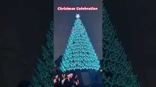 Christmas Celebration Melbourne Australia 🇦🇺