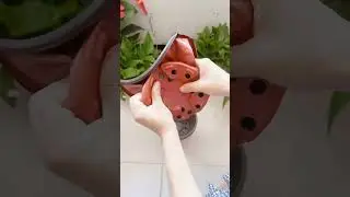 Dual Color Plastic Flower Pots Wholesale Supplier #plasticpots #flowerpots #plantpots #gardenpots