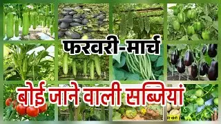 फरवरी-मार्च में बोई जाने वाली सब्जियां  February aur March me boi jane wali vegetables #homegarden 