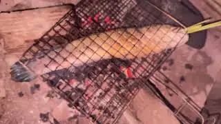 Grilled live fish in fish sauce