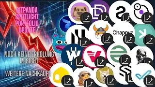 Bitpanda  Spotlight Portfolioupdate - Buy the dip! Ich kaufe weiter nach!