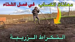 معاناة الكساب في فصل الشتاء مع التكراط الزريبة 