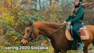 Spring 2020 - Hobbyhorse Slovakia