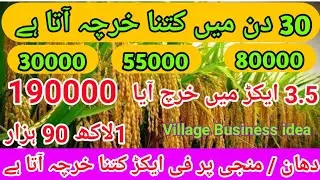 cost of rice production per acre in pakistan | rice production in pakistan 2023.per aker khrch?