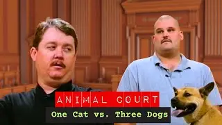 Animal Court | One Cat vs. Three Dogs