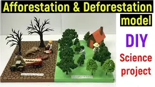 afforestation and deforestation model - science project model - afforestation - deforestation - diy