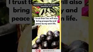 Peace and Prosperity Prayer According to Jeremiah 29:7 #praywithus #motivation #motivation