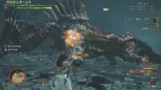 【モンスターハンターワイルズ】歴戦王ジン・ダハド フリーチャレンジクエスト「凍え知れ、安寧の睡郷」の挑戦動画 part1