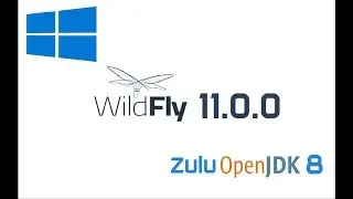 WildFly 11 Installation in Windows 10 with Zulu OpenJDK 8 (Java 8)