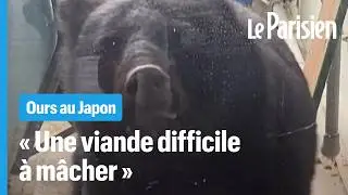 Face aux attaques d’ours, le Japon se met à manger leur viande