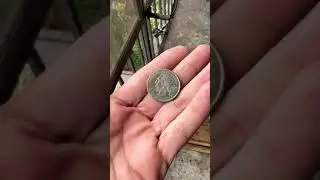 Crows Leave a Gift for their Friend || ViralHog