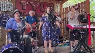 Java Llamas - Who Can It Be Now (Men at Work)