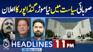 11PM Headlines | Ali Amin Gandapur Resigns | Punjab Assembly Committees | PTI Political Update