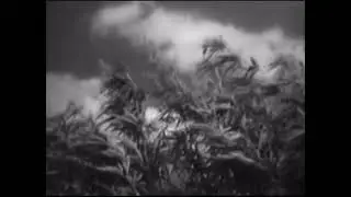 Hemp for Victory (1942) United States Department of Agriculture public service announcement 