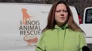 Who is Illinois Animal Rescue