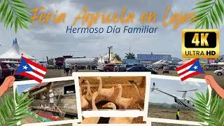 4K FERIA AGRICOLA EN LAJAS PUERTO RICO
