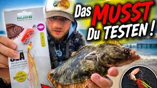 Plattfischangeln AKTIV an der Ostsee im Sommer 2026 - DAS MUSST DU PROBIEREN !