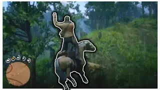 Everytime I Crashed My Horse In Red Dead Redemption 2!