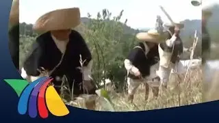 Zacapoaxtlas, machete en mano, defendieron México
