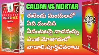 CALDAN ARE MORTAR WHICH IS THE BEST PESTICIDE FOR STEM BORER & LEAF FOLDER @Eruvaaka