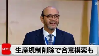 プラスチックの生産規制など対立で合意不透明　プラ環境汚染防止のための国際会議