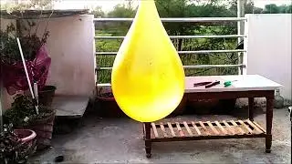 5 MAGIC SCIENCE EXPERIMENTS TO DO AT HOME!  Water Tricks