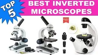 Top 5 Best Inverted Microscopes 2019