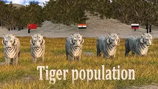 tiger population in world 2025