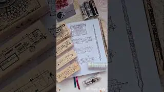 ASMR Unboxing New Stamps & Pet Tapes from Sindhura's Craft Studio #asmr #unboxing #shorts