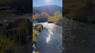 A beautiful Alpine Meadow! #laketahoe #river #nature #water #mountains